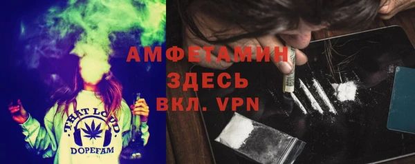 индика Богородск