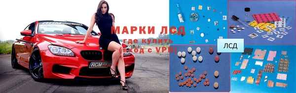 индика Богородск