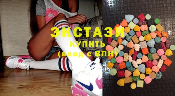 индика Богородск