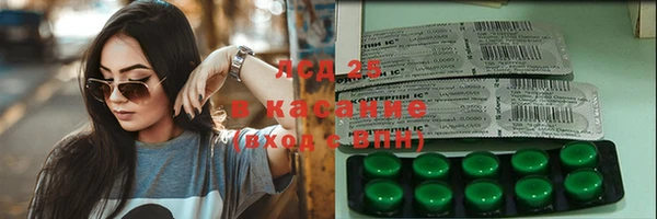 индика Богородск