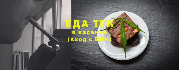 индика Богородск