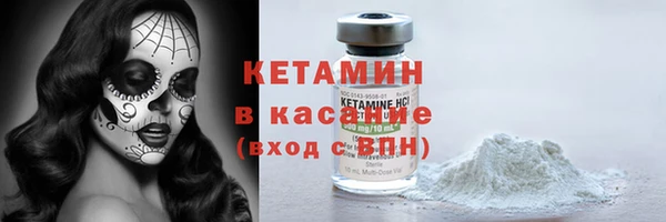 индика Богородск