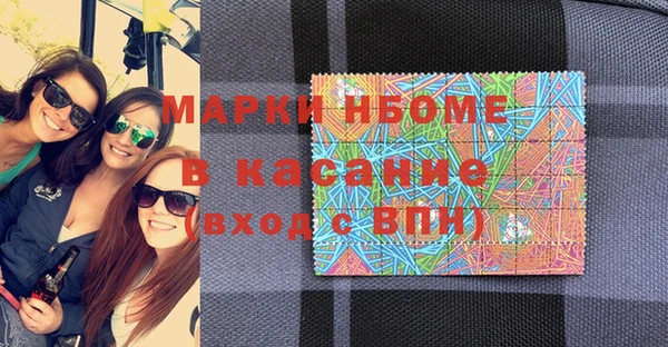 индика Богородск