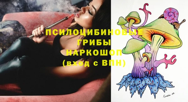 ГАЛЛЮЦИНОГЕННЫЕ ГРИБЫ Богородицк