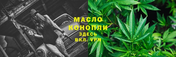 индика Богородск