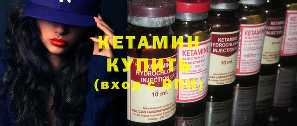 индика Богородск