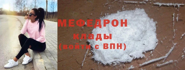 индика Богородск