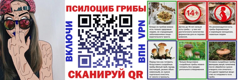 маркетплейс состав  Мостовской  Галлюциногенные грибы Psilocybe 